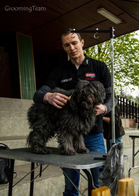 10259854_240933326091596_3098055151318842890_n.jpg 10259854_240933326091596_3098055151318842890_n.jpg