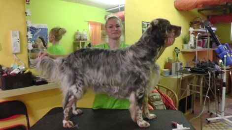 10714448_4989996685636_434656400052960425_o.jpg 10714448_4989996685636_434656400052960425_o.jpg