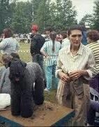 10743740_816330128413906_374659163_n.jpg 10743740_816330128413906_374659163_n.jpg