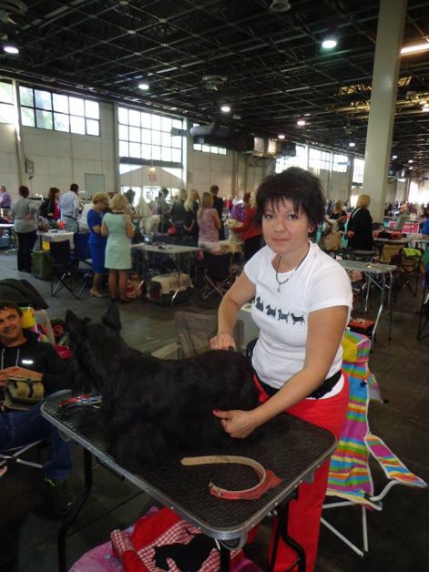 11005550_734109756705198_1900155554_n.jpg 11005550_734109756705198_1900155554_n.jpg