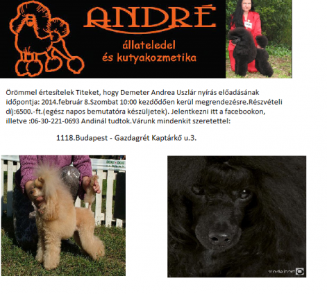 1470379_194893034028959_213832956_n.png 1470379_194893034028959_213832956_n.png