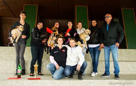 1544400_240932396091689_5608782342764546876_n.jpg 1544400_240932396091689_5608782342764546876_n.jpg