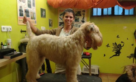 1782425_803513613017652_1907810844697633961_o.jpg 1782425_803513613017652_1907810844697633961_o.jpg