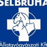 384312_316613421770570_134586310_n.jpg 384312_316613421770570_134586310_n.jpg