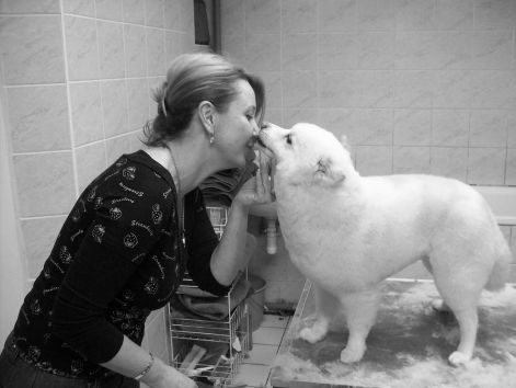 bajkoerika.jpg bajkoerika.jpg